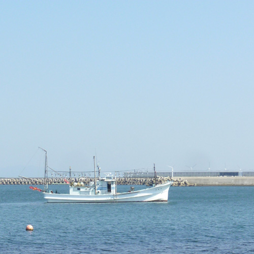 2022年3月24日　ホームページ完成です