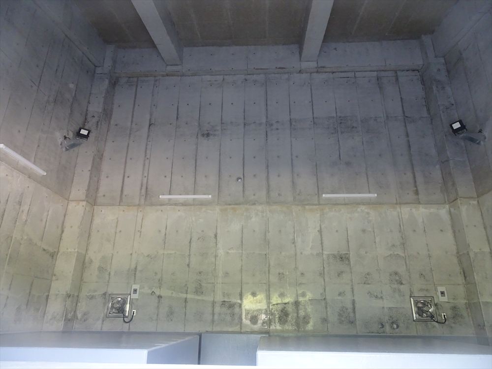 2025年9月6日　blogを更新しました