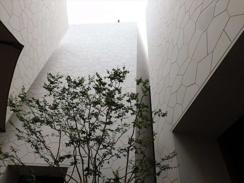 2025年10月2日　blogを更新しました